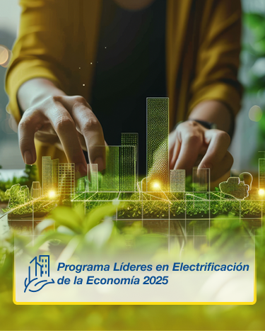 Programa Líderes en Electrificación de la Economía 2025