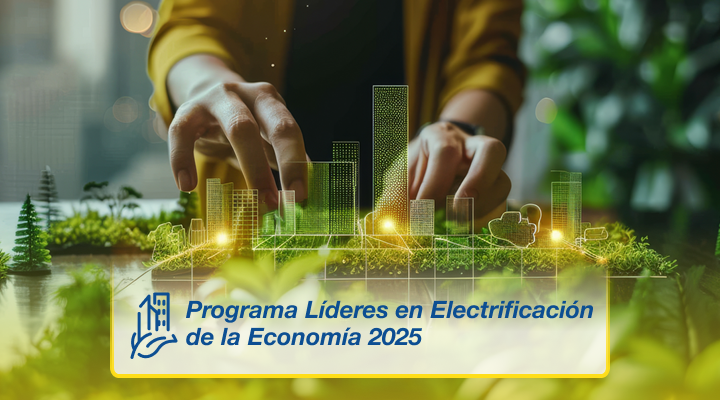 Programa Líderes en Electrificación de la Economía 2025